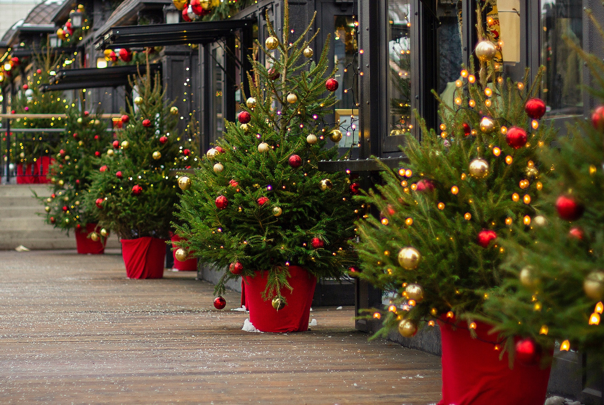 Christmas trees, with Christmas tree decorations at the fair