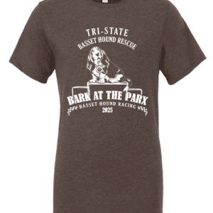 Brown Adult Bella & Canvas Short Sleeve T-Shirt