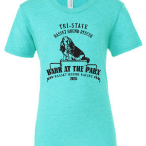 Sea Green Adult Bella & Canvas Short Sleeve T-Shirt