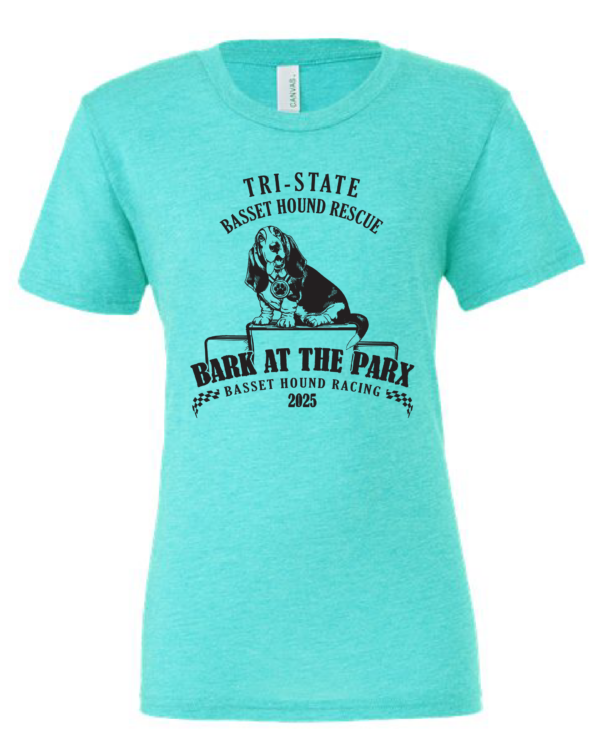 Sea Green Adult Bella & Canvas Short Sleeve T-Shirt