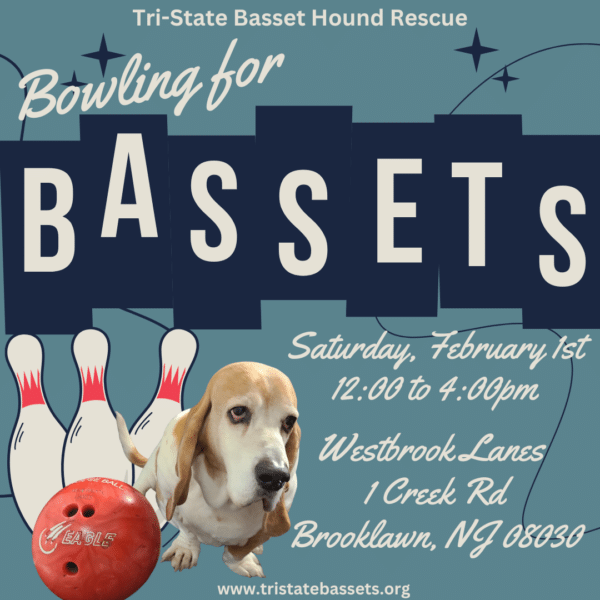 Bowling for Bassets Tickets