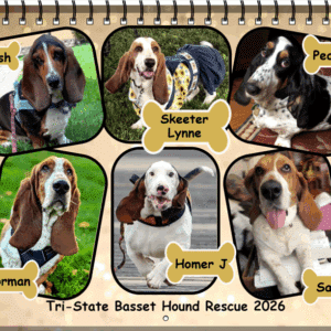 2026 TSBHR Calendars