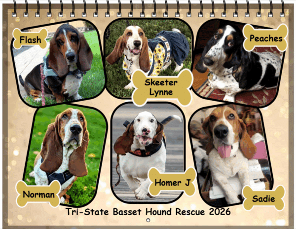 2026 TSBHR Calendars