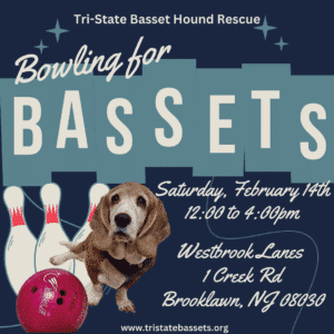 Bowling for Bassets Tickets