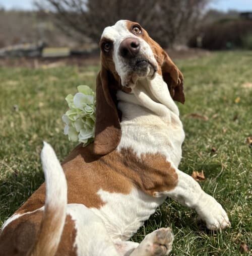 Copper