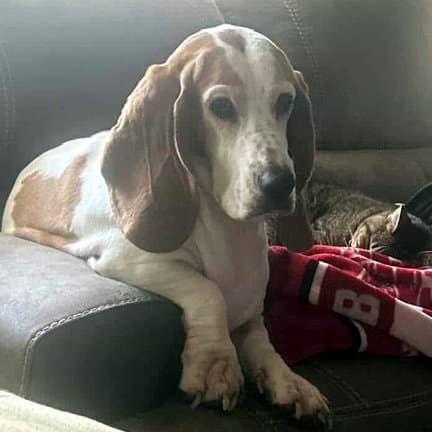 Maggie